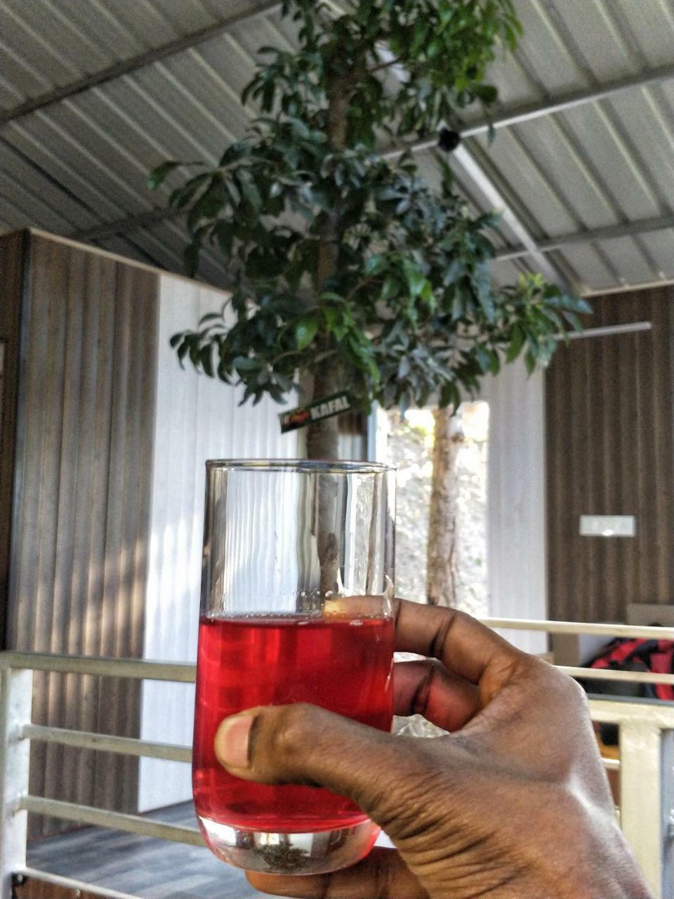 The Cocoon Camps & Nature Resorts Nainital Bagian luar foto